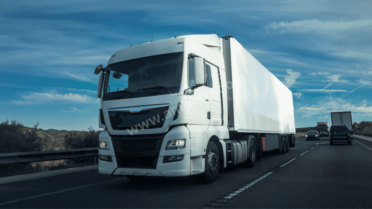 Samsun Şehirler Arası Taşıma